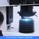 A11.5121-B OPTO EDU Student Biological Microscope Binocular Quadruple LED 1600X