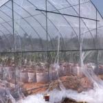 Insect Net 40 Mesh For Greenhouse Protections Insect Barrier Mesh