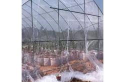 China Insect Net 40 Mesh For Greenhouse Protections Insect Barrier Mesh supplier