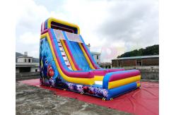 China Waterproof Commercial Inflatable Slide / Nemo Inflatable Dry Slide supplier