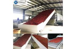 China Chili Chrysanthemum Cassava Drying Belt Conveyor Dryer Machine supplier