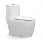 Ceramic One Piece Dual Flush Toilet Top Flush S Trap Elongated Bowl For Hotels Bathrooms for sale