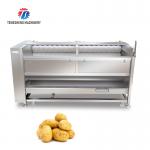 Tengsheng 3KW Potato Washing And Peeling Machine Potato Cleaning Isolation Filters for sale