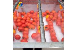 China SS 380V Industrial Vegetable And Fruit Washing Machine supplier