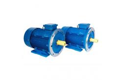China Variable Speed Brushless Permanent Magnet Motor 380V Self Sensing Operation supplier
