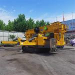 Mini Four Outriggers Spider Crawler Crane 17.8m Lifting Height for sale
