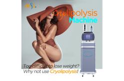 China 360 Cryolipolysis Slimming Machine 3000W Vacuum Cavitation Machine With 4 Handles supplier