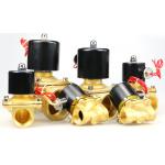 2 Wire Brass Electric 2 Way Replace Solenoid Valve AC220V/DC12V/24V