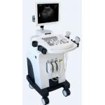 Middle-end Trolley BW Veterinary Ultrasound Scanner for sale