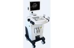 China Middle-end Trolley BW Veterinary Ultrasound Scanner supplier