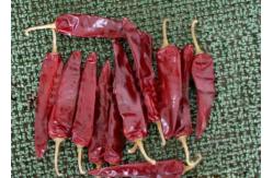 China Marinades Dried Jinta Chilli Dried Red Peppers Hot Paprika supplier