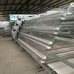 Chicken Farm Use Poultry Cage A Type Big Size 96 birds / set for sale