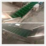 mushroom classification machine, mushroom classifier, mushroom sorting machine for sale