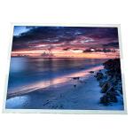 15 inch 1024*768 Industrial TFT LCD Screen Display Module Panel LQ150X1LX91 for sale