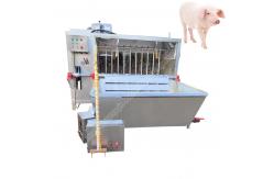 China 380V 50HZ Pig Dehairer And Scalding Machine Pig Dehairing Machine supplier