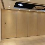 Museum Luxury Partition Wall Sliding Doors Interior Wood Folding Sound Proof for sale