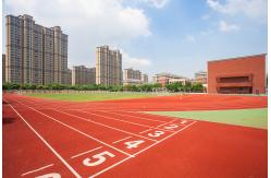China High Elasticity Blue Red 13mm Artificial Running Track Fadeless supplier