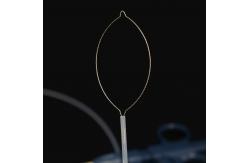 China Rotatable Operation Endoscopic Grasping Forceps For Strip Foreign Body Removal supplier