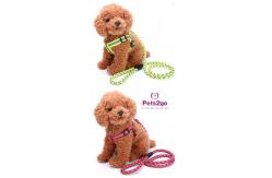 China Pet Training  Dog Shock Collar Puppies Tools Basic Concepts Learning Curve supplier
