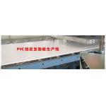 Conical Twin Screw Extrusion Machine PVC for Wood Plastic Board for sale