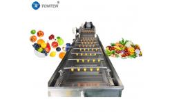 China Air Bubble Food Cleaning Machine For Banana Fruit Washing 6kw 380v supplier
