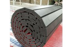 China 40mm Thickness XPE Roll Foam Mat For Mma Wrestling Fighting supplier
