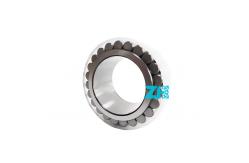 China Cylindrical Roller Bearings F-209774.06 F-209774 supplier