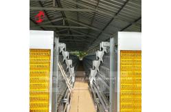 China Automatic Chicken Cage Automatic Feeding System Used In Poultry Chicken Farm Mia supplier