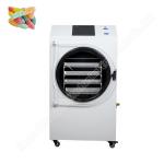 freeze dryer candy /small freeze dryer/ freeze dryer for liquids for sale