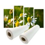 Pigment Printing 280gsm Polyester Canvas Roll for sale