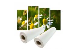 China Pigment Printing 280gsm Polyester Canvas Roll supplier