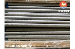 China ASTM A213 TP304 1.4301 Seamless Tube Austenitic For High Temperature supplier