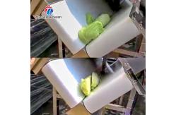 China Stainless Steel Vegetable Processing Machine 1.1KW Fruit Cutting Halt Machine supplier