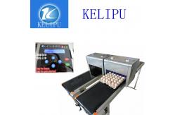 China High Speed Food Industry Egg Stamping Machine With USB 2.0 External Interface supplier