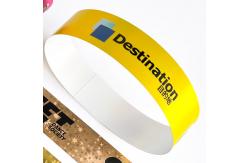 China Security Holographic Wristbands Disposable Featuring Custom Printed Text and Logos supplier