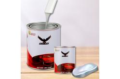 China Acrylic Polyester Auto Refinish Paint Fine Glitter Silver Chameleon Pigment Car Paint supplier