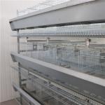 Automatic H Type Layer Chicken Cage Hot Galvanized Steel for sale