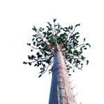 Bionic Tree Communication Camouflage Cell Tower Lightning Protection for sale