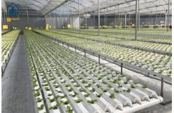 China Plastic NFT Hydroponic Growing System PVC Gully For Greenhouse Planting supplier