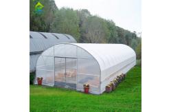 China Cheap Agricultural Green House Commercial Greenhouse Intelligent Single-Span Greenhouse for Tomato Planting supplier