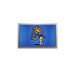 AA150XN07 Industrial 15.0 inch TFT LCD screen 1024*768 LCD Module Display for sale