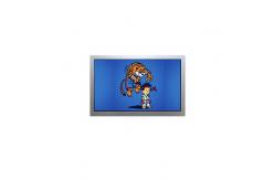 China AA150XN07 Industrial 15.0 inch TFT LCD screen 1024*768 LCD Module Display supplier