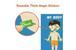 China Removable Body Learning Custom Dry Erase Poster Board 48x36 With Magic Stickers supplier