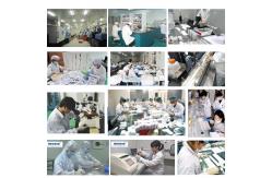 China Covid 19 Rapid Test Kit manufacturer