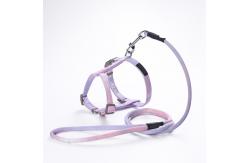 China Adjustable Pet Cat Vest Leash Gradual H Shaped Chest Strap Towing Rope supplier