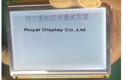 China RYP240128B 240x128 Dots Graphic LCD Module With RA8822B-T Build In Chinese Character supplier