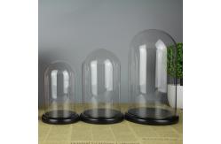 China Wood Base D20*H40cm Borosilicate Glass Dome Display Cloche supplier