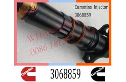 China Diesel NT855 N14 Common Rail Fuel Pencil Injector 3068859 3023934 3070155 3078200 supplier