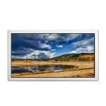 G238HAN01.5 23.8 inch LCD Panel Medical LCD Screen Display for sale