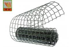China Plastic Garden Netting For Climbing Plants , Garden Fence Roll With UV Stabilized supplier